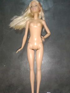 Barbie Doll with Accessories