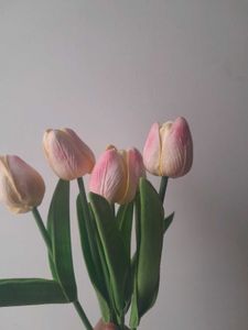 Combo 5 Faux Tulips
