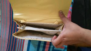 Elegant Clutch with Chain Strap