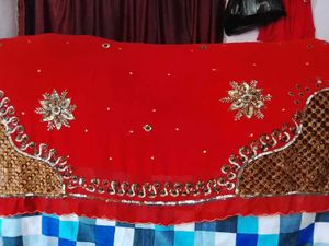 Rust Embellished Saree
