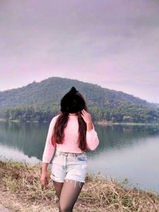 Cute Cropped Knit Sweater