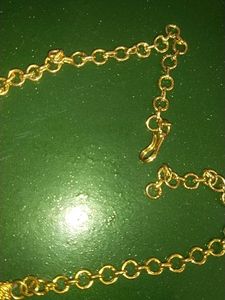 Gold-Tone Necklace( Covering Chain )