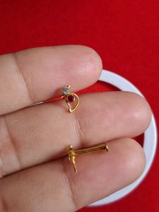 beautiful parrot 🦜 design studs