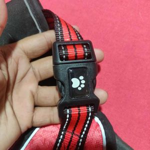Red &amp; Black Dog Harness with Leash Size L