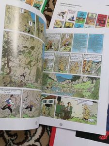 Tintin Collection: Adventures Await!
