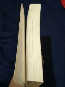 Too Good to Be True Novel