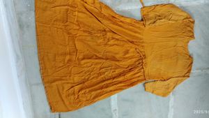 Mustard Embroidered Dress