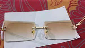 brown sunglasses
