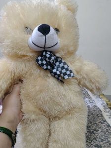 Cute Cream Teddy Bear