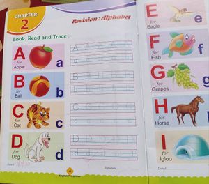 48 Pgs English Pre- Primer Textbook