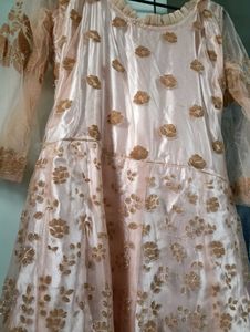 Elegant Party Wear Dress