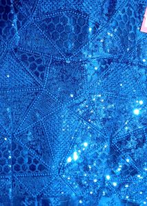 Blue Net Lehenga
