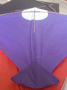 Colorful $CHAMPIONS$ KitesPack of 30