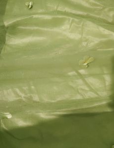 💚Green Gown💚