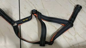 Last Price!!!No Pull Dog Training Leash