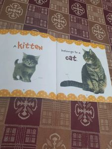 Story Book Kids
