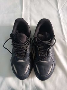 Men Shoes