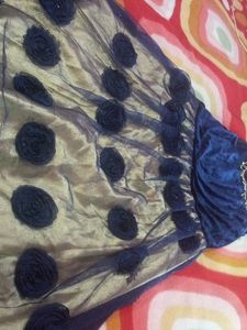 Blue Skirt