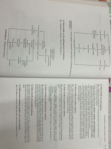 Concise Pathology for Exam Prep