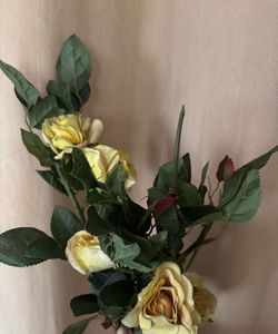 Yellow Roses