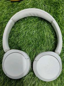 Sony Headphones Ch-520