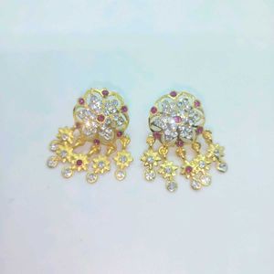 Brand New Beautiful Earring