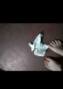 Used Socks For Women