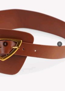 Brown Wide Waist Belt