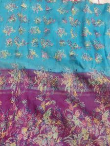 Saree In 2 Colours Shades.