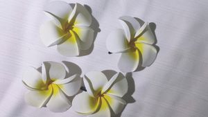 White And Yellow Flower Hair Accessories