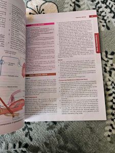 BDC HUMAN ANATOMY VOL 4 neuroanat
