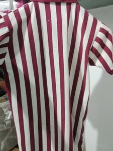 Stylish Polo T Shirt