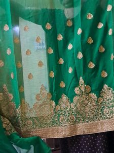 Green-Red Party Saree with Blouse (36)