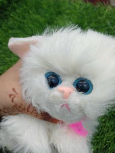 Cat Cuite Soft Toy