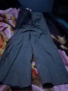 Brown Straight Pant