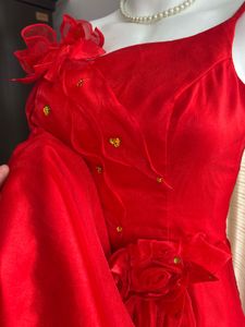 Red Organza Luxury Gown