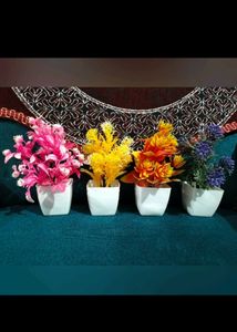 🌾🌿Mini Decorative Plant
