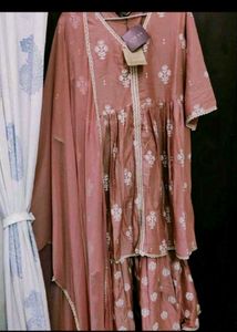 Festive Gharara Suit