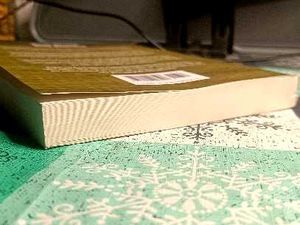 Real-World Bug Hunting Book