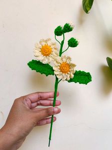 Crochet Daisy Flower