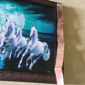 vastu 🐎horses