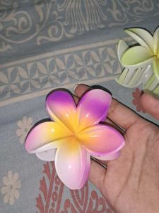 Hawaiian Tropical Flower Claw Clip 2pcs