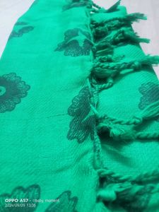 Soft Beautiful Green Long Scarf