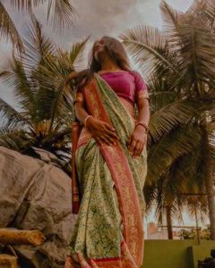 Elegant Indian Saree