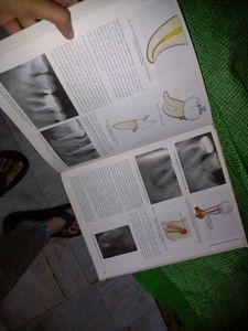 Combo Dental  Dentistry Textbook