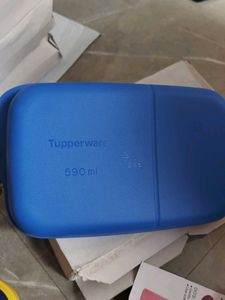 Tupperware Lunch Box