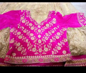 Gorgeous Gold Embroidered Lehenga