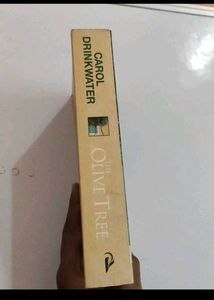 The Olive Tree Novel