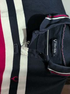 Allen Solly Striped Polo Shirt