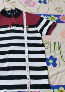 Mens Half Sleeves Polo Neck Striper Tshirt